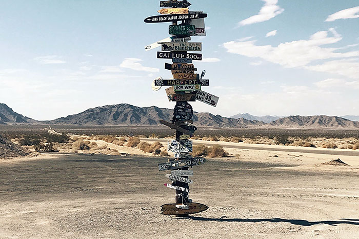 Wandering, intuition, and the paths that led to Vive image